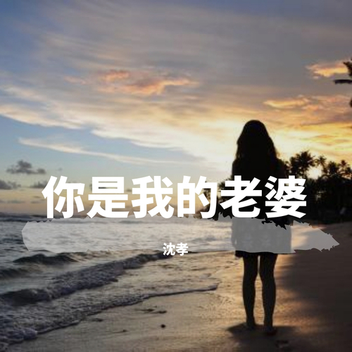 你是我的老婆 吉他谱
