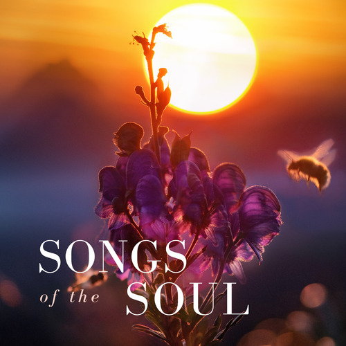 Song Without Words 吉他谱