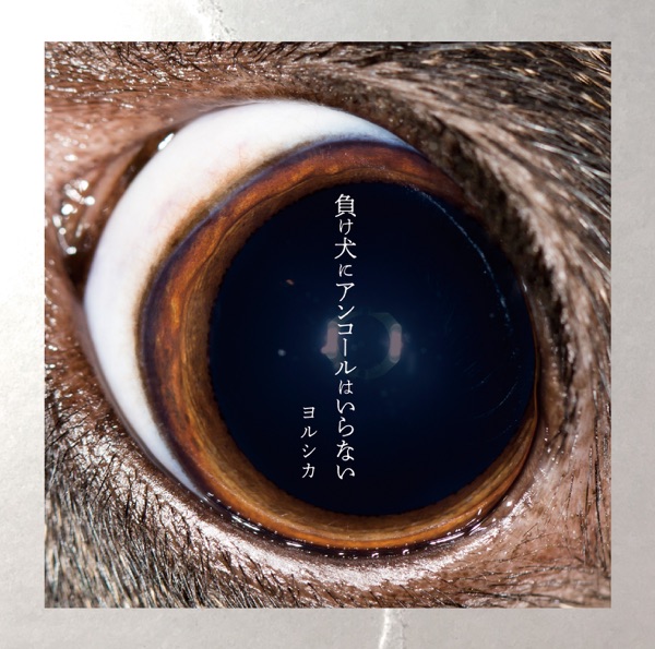 夏、バス停、君を待つ 吉他谱